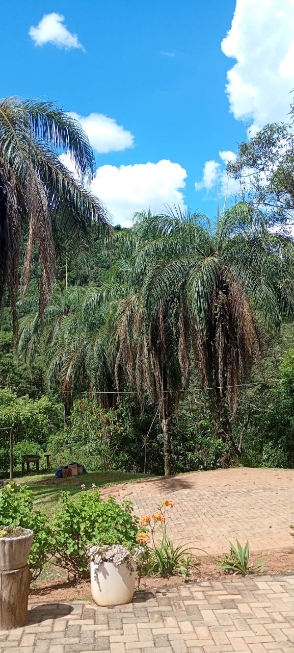 Área de estar com decoração